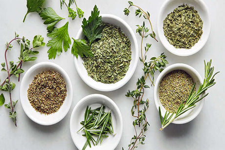 Culinary Herbs