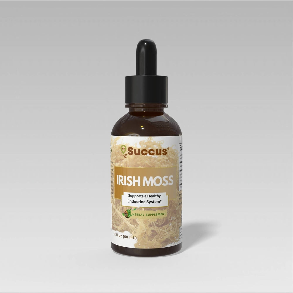 Succus - Irish Sea Moss Tincture – Mineral-Rich Oceanic Tradition - Alcohol Free / 1 fl oz