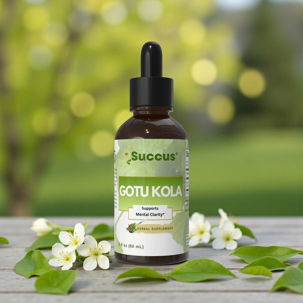 Succus - Gotu Kola Tincture - Promotes Natural Clarity - Alcohol Free / 1 fl oz