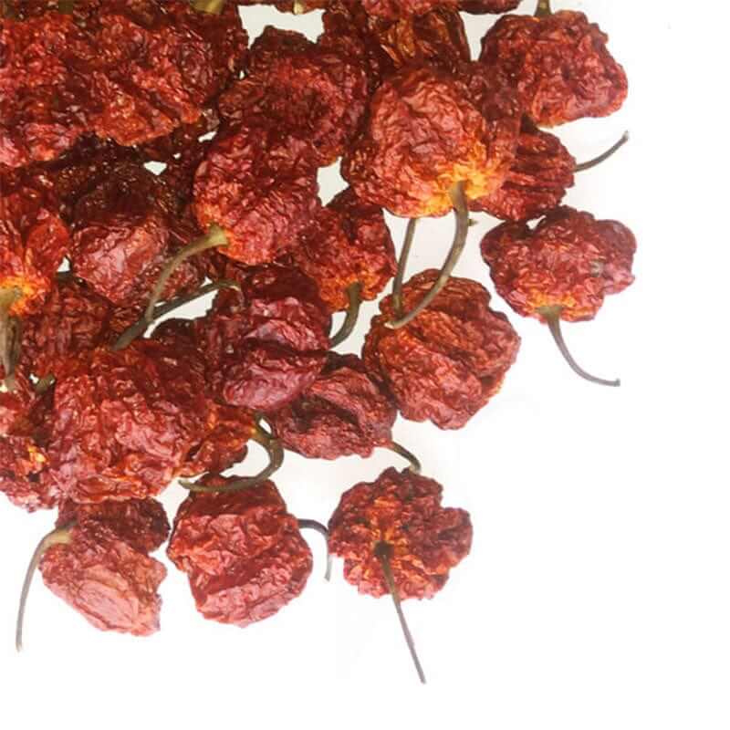 Moruga Scorpion Pods (Trinidad Moruga Scorpion)