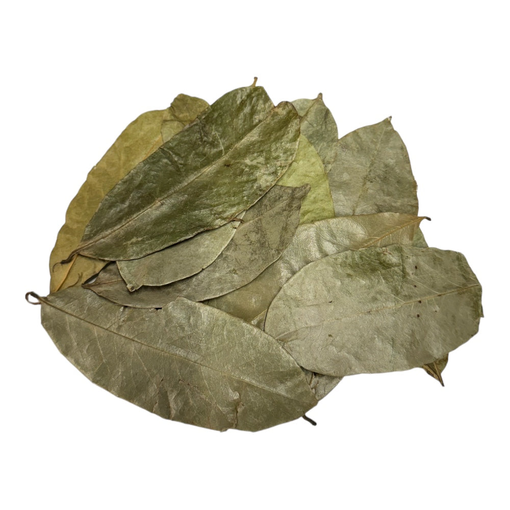 Soursop (Graviola) Leaf