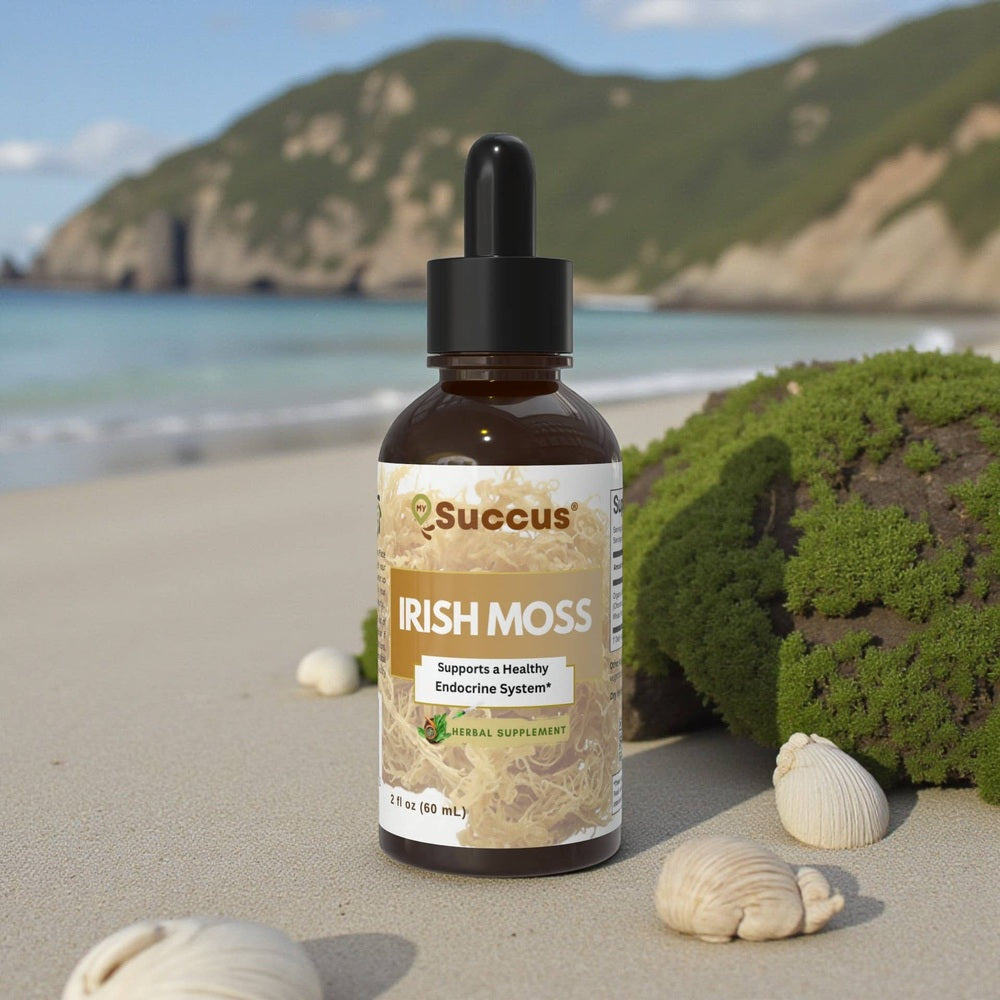 Succus - Irish Sea Moss Tincture – Mineral-Rich Oceanic Tradition - Alcohol Free / 1 fl oz
