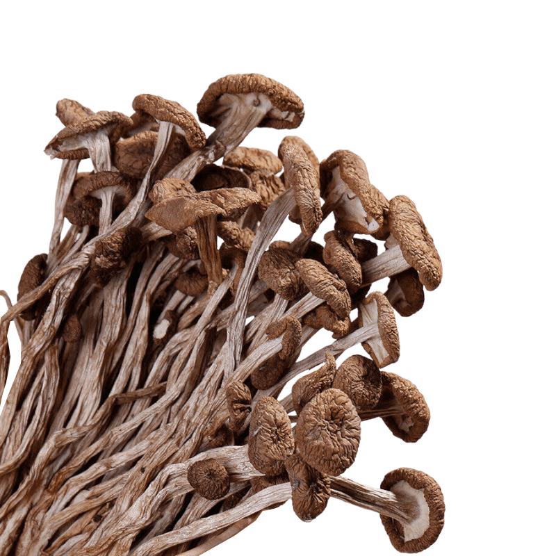 Dried Mushroom Agrocybe aegerita