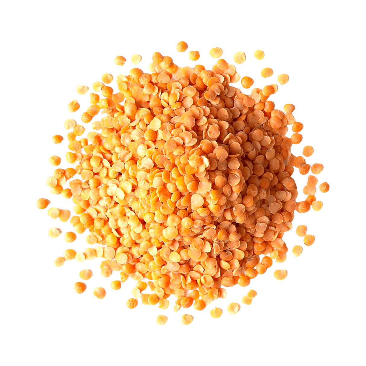Red Split Lentils 1.8 LB