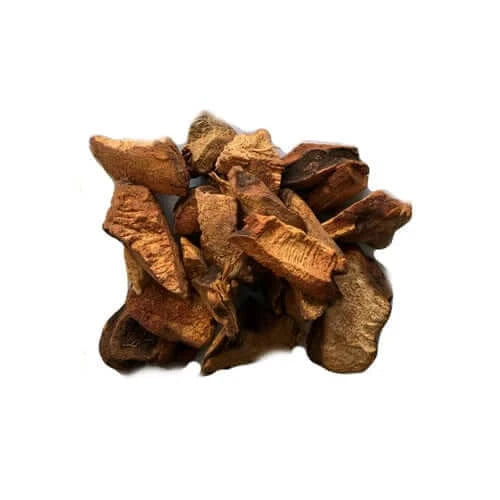 Chaney Root (Similax Balbisiana)