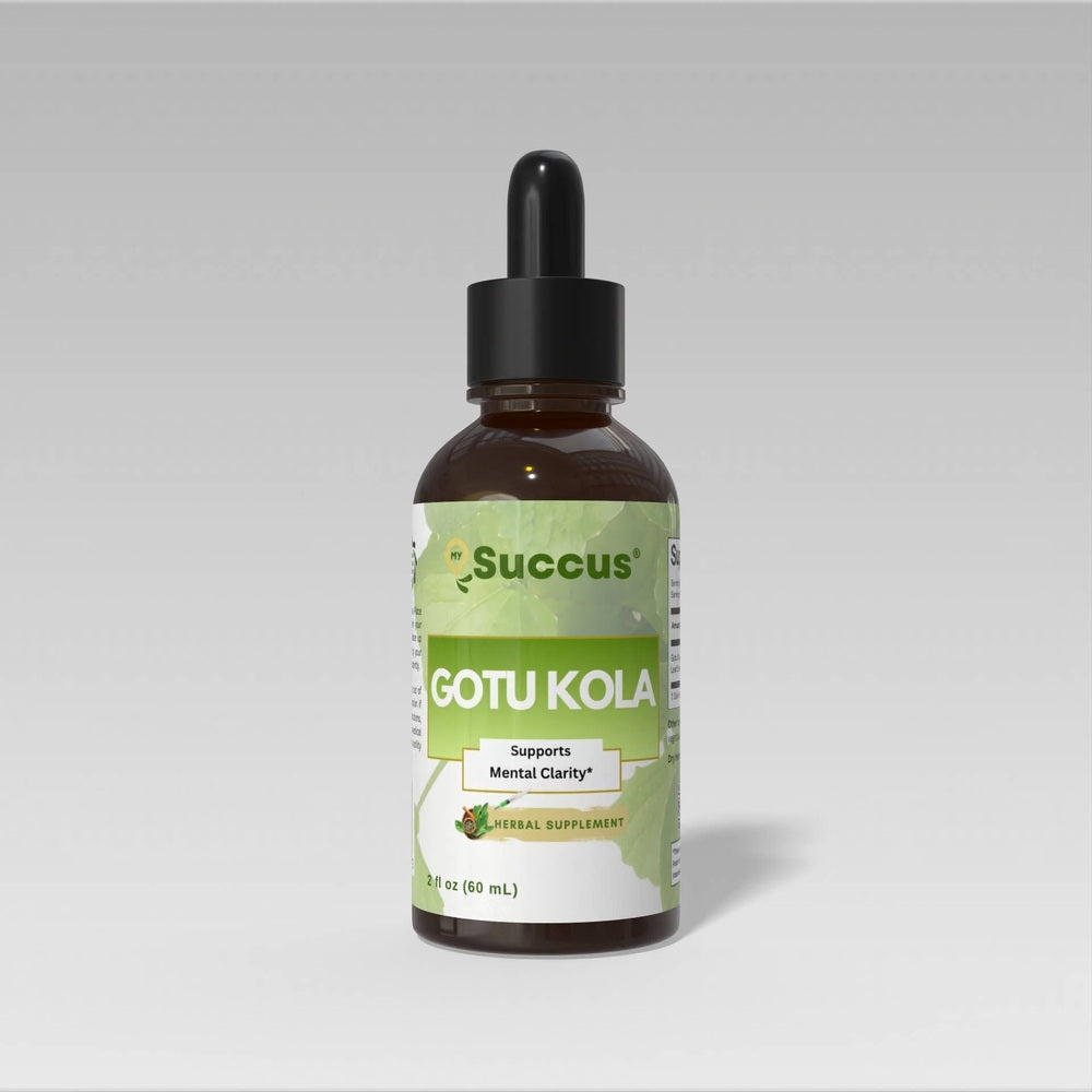 Succus - Gotu Kola Tincture - Promotes Natural Clarity - Alcohol Free / 1 fl oz