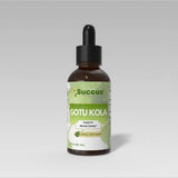 Succus - Gotu Kola Tincture - Promotes Natural Clarity - Alcohol Free / 1 fl oz
