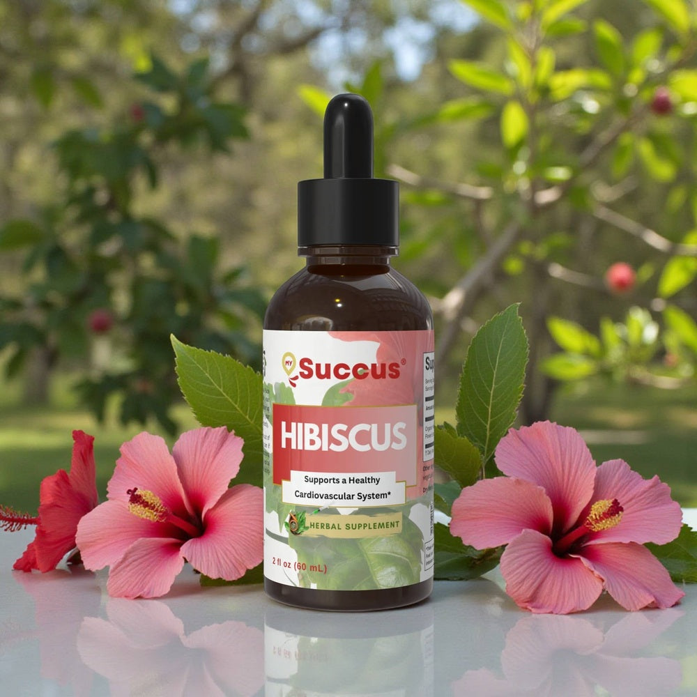 Succus - Hibiscus Flower Tincture | Premium Herbal Extract - Alcohol Free / 1 fl oz