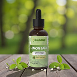 Succus - Lemon Balm Tincture | Premium Herbal Extract - Alcohol Free / 1 fl oz