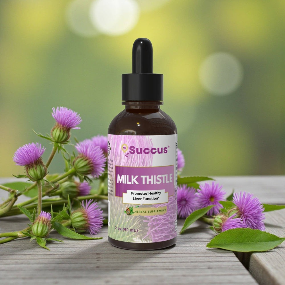 Succus - Milk Thistle Tincture | Traditional Support | Herbal Extract - Alcohol Free / 1 fl oz