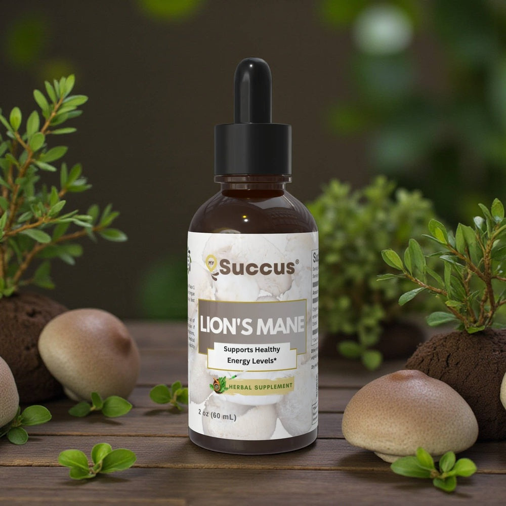 Succus - Lion’s Mane Tincture – Focused Botanical Support - Alcohol Free / 1 fl oz