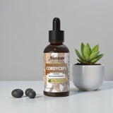 Succus - Cordyceps Tincture – Cordyceps militaris Mushroom Extract - Alcohol Free / 1 fl oz