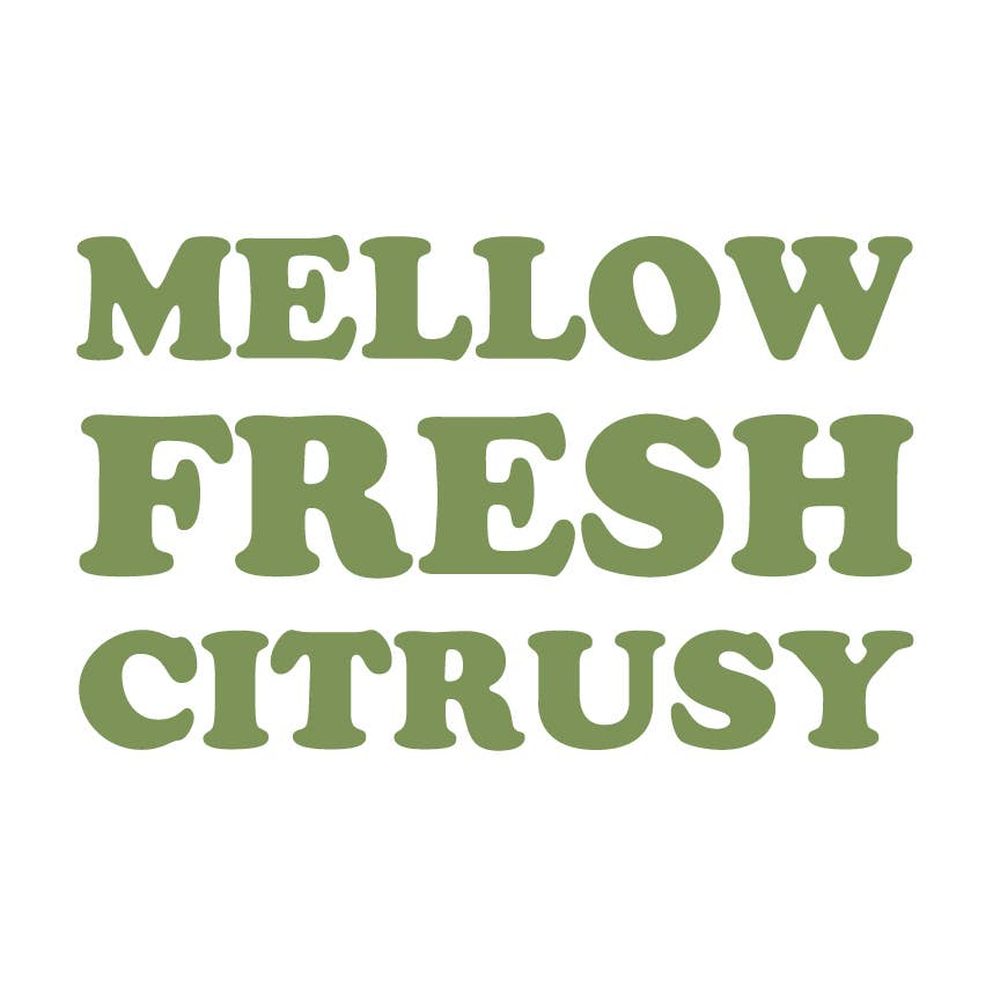 Queen Majesty Hot Sauce - Jalapeño Tequila & Lime Hot Sauce - 5oz