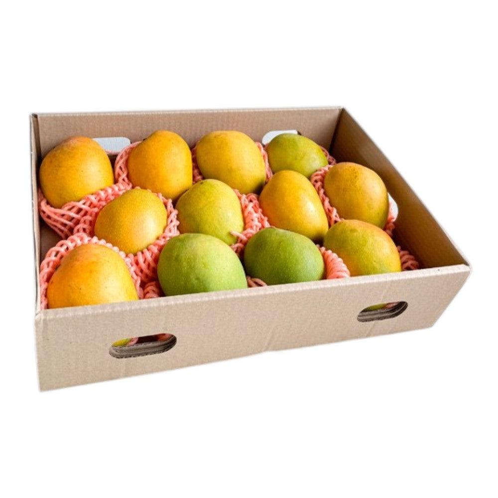 Fresh Alphonso Mango (Case) 8 to 10 pc