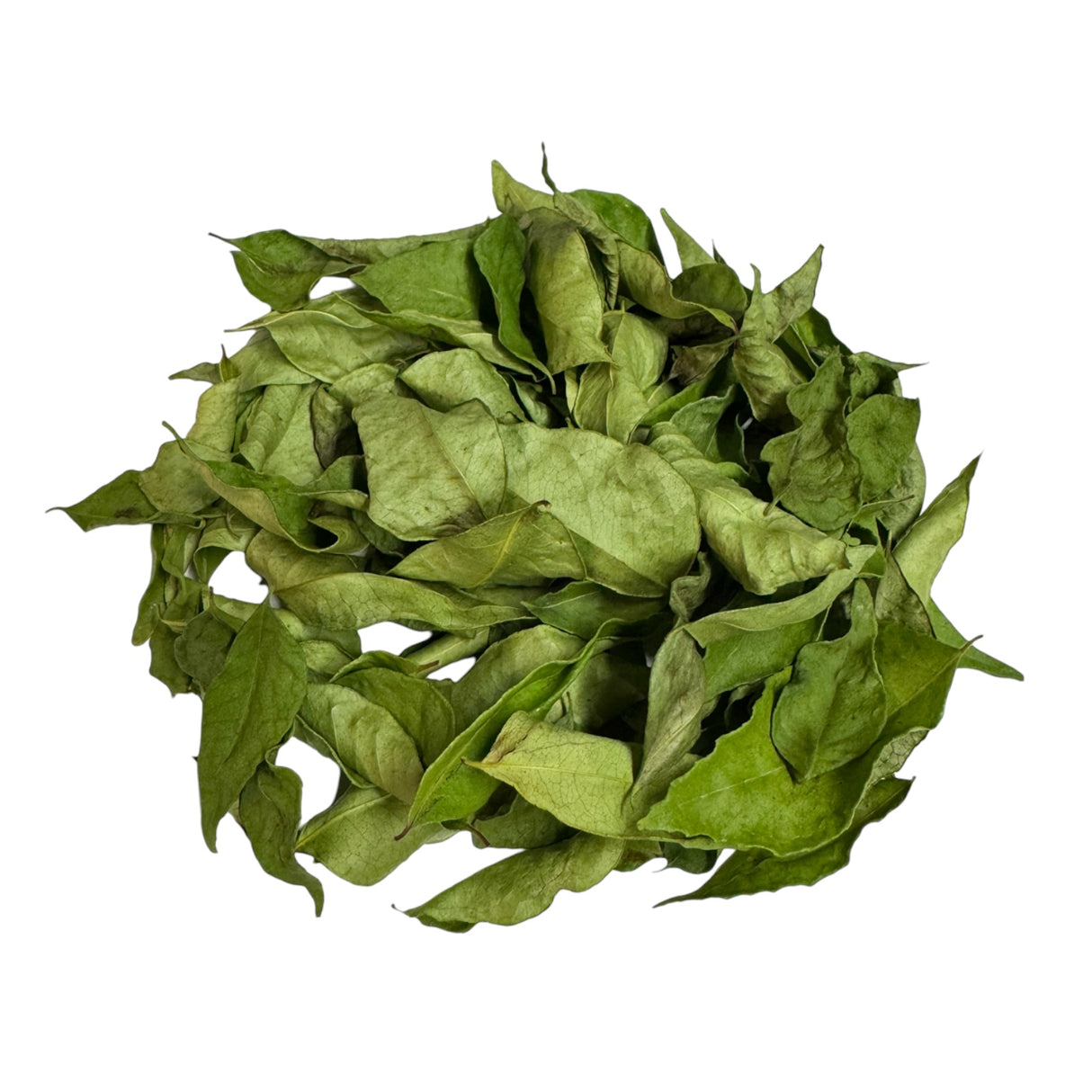 Curry Leaf Freshly Dried (Curry/Kadi Patta)