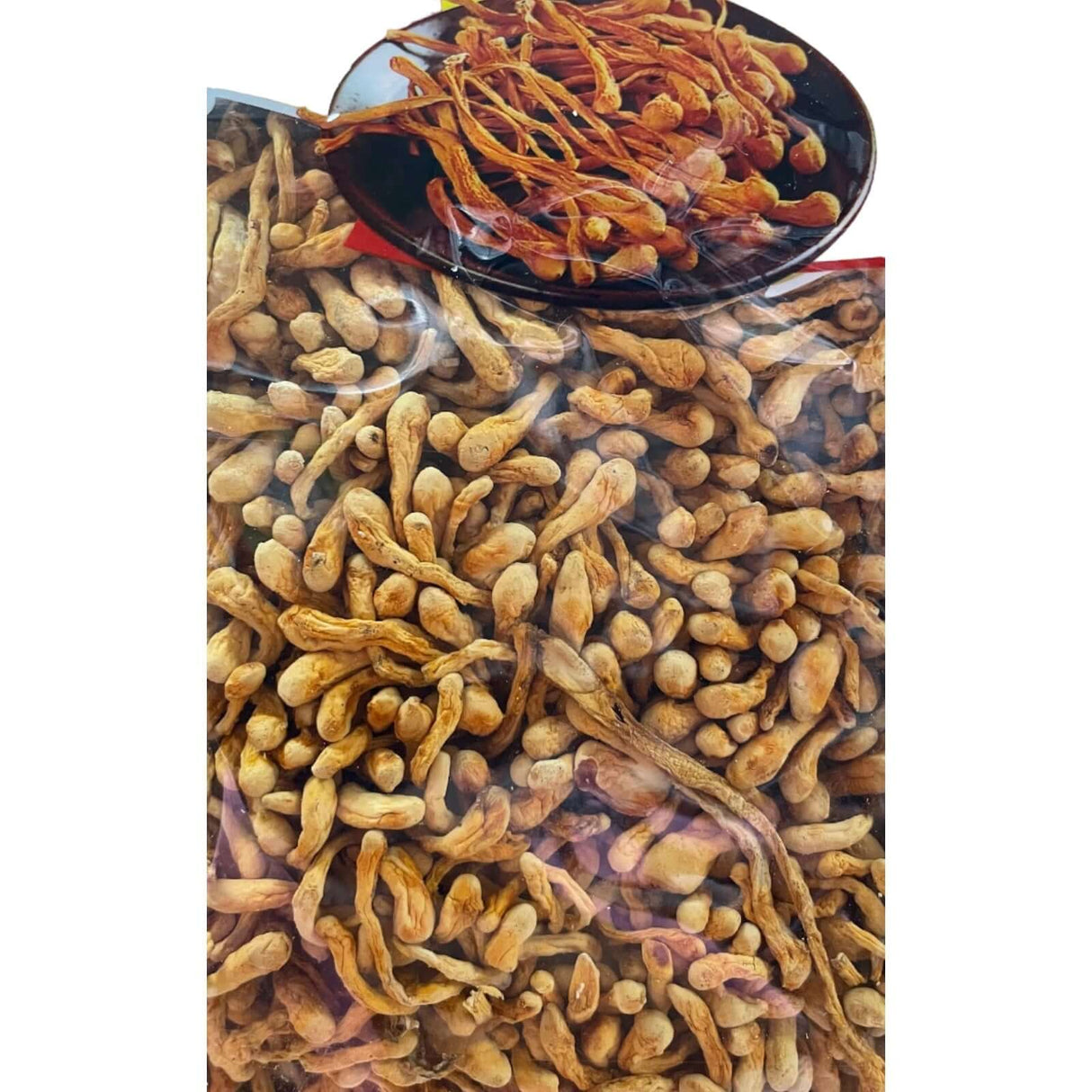 Dried Cordyceps Mushroom