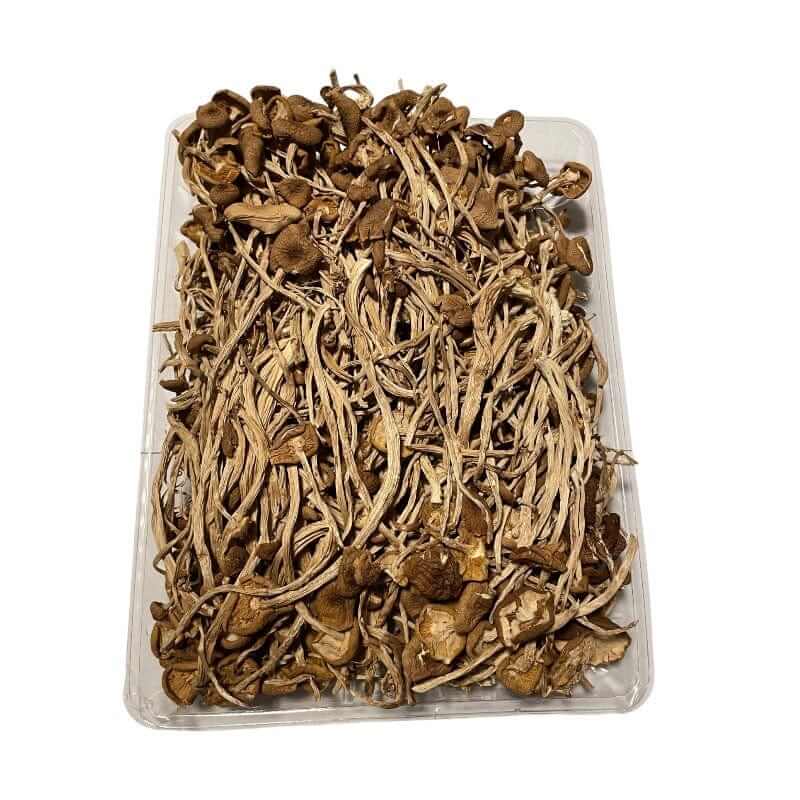 Dried Mushroom Agrocybe aegerita