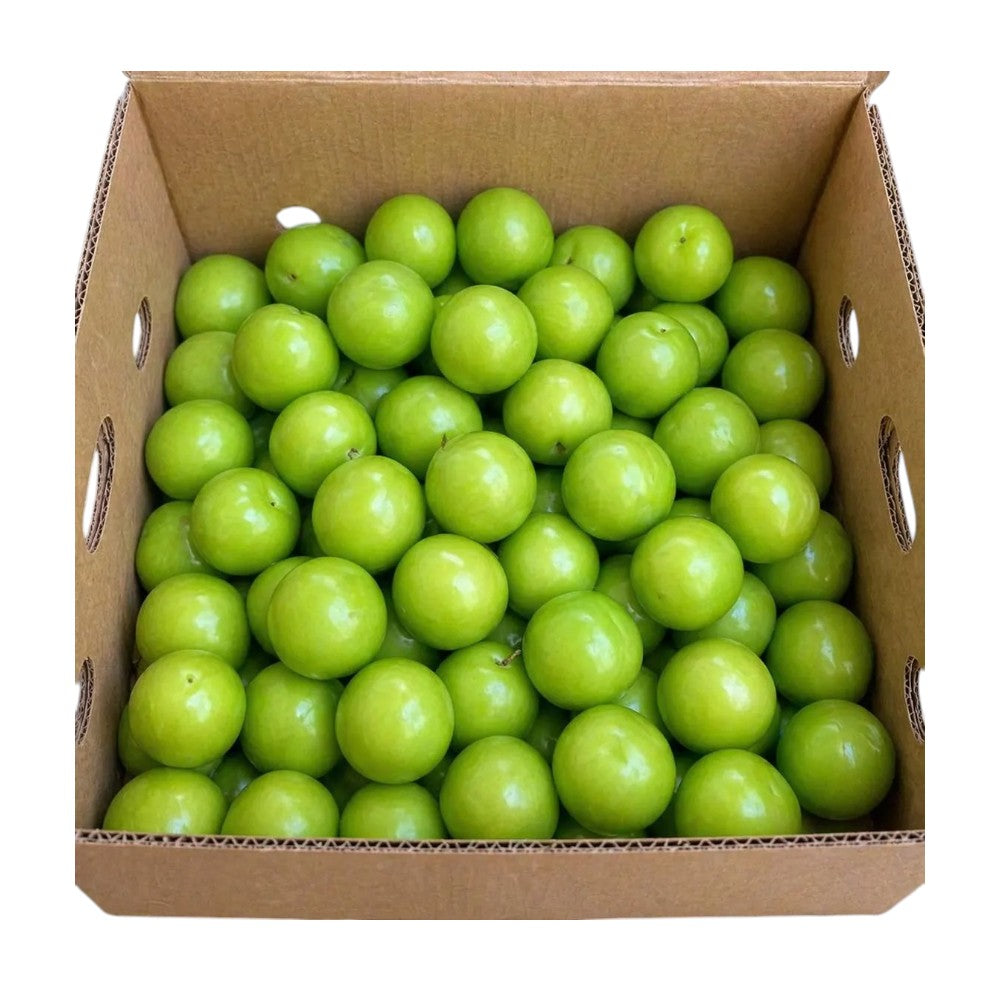 Fresh Green Plum