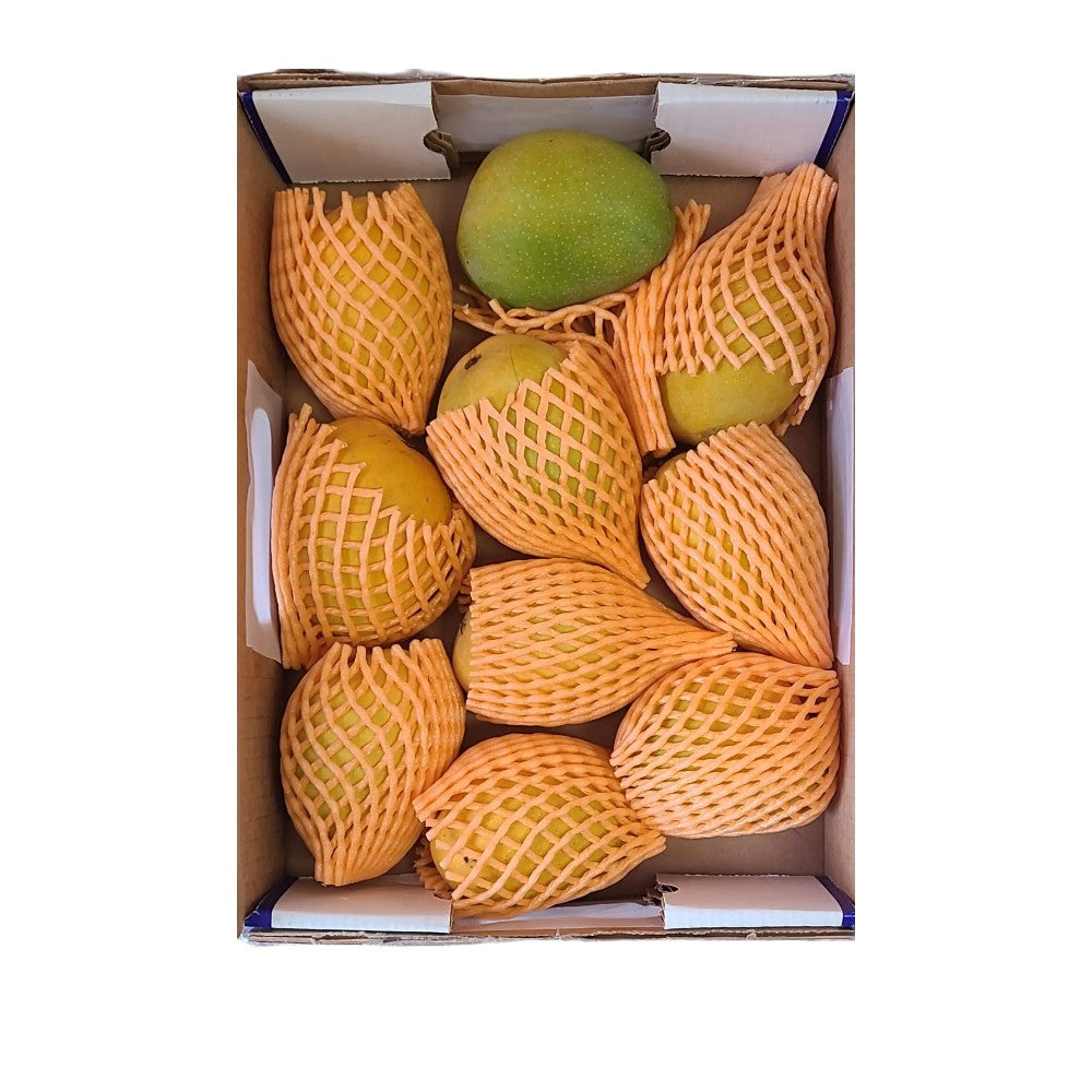 Fresh Kesar Mango (Case) 8 to 10Pcs
