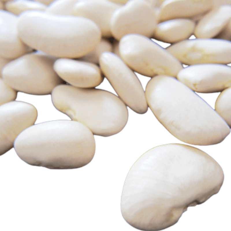 Lima Giant Beans Peruvian Dry