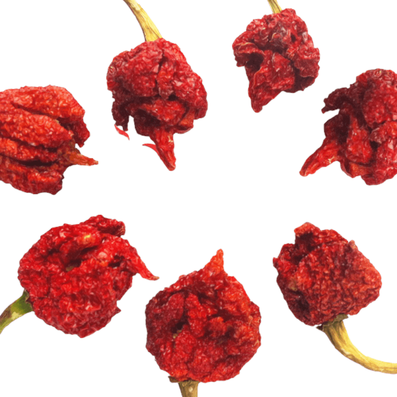 Red Scorpion Pepper Whole Pods (Trinidad Scorpion)