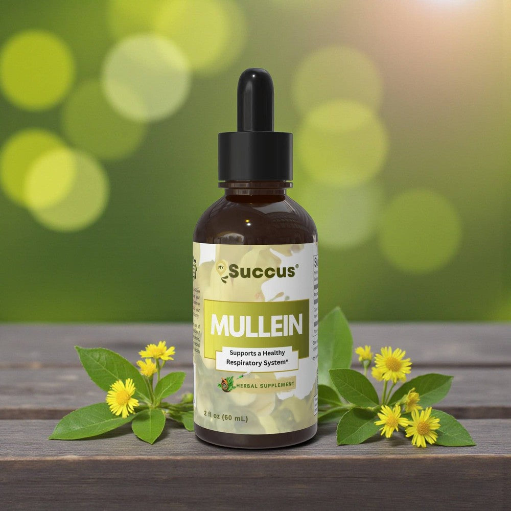 Succus - Mullein Tincture Leaf Extract | Premium Herbal Extract - Alcohol Free / 1 fl oz