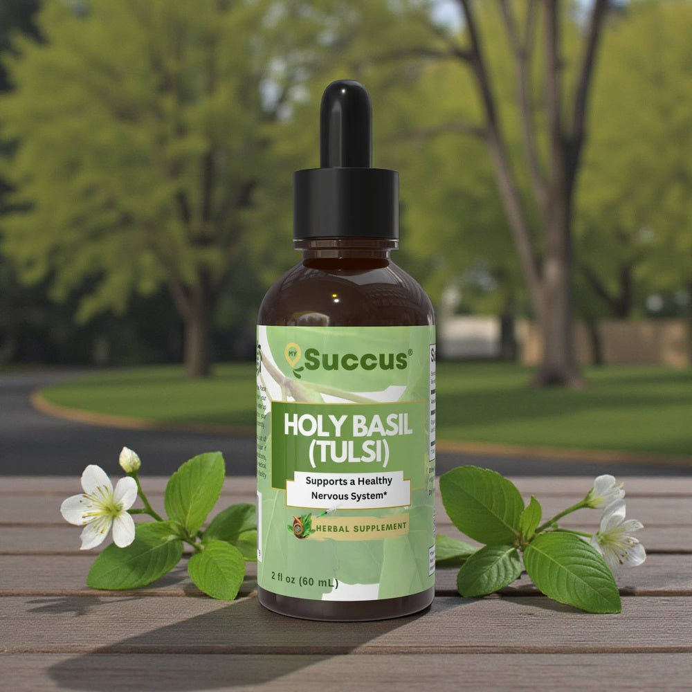 Succus - Holy Basil Tincture – Calming Herbal Balance - Alcohol Free / 1 fl oz