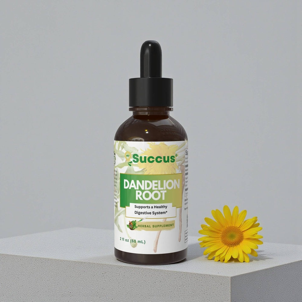 Succus - Dandelion Root Tincture | Premium Herbal Root Tincture - Alcohol Free / 1 fl oz
