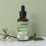 Succus - Moringa Tincture | Herbal Wellness Support - Alcohol Free / 1 fl oz