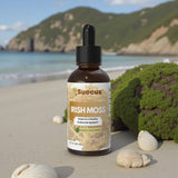 Succus - Irish Sea Moss Tincture – Mineral-Rich Oceanic Tradition - Alcohol Free / 1 fl oz