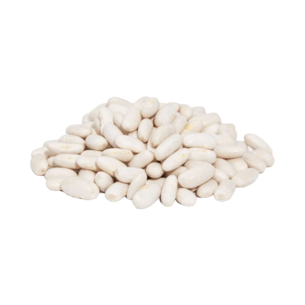 Great Northern Beans Dry