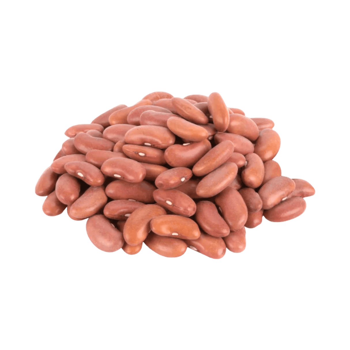 Light Red kidney beans Dry