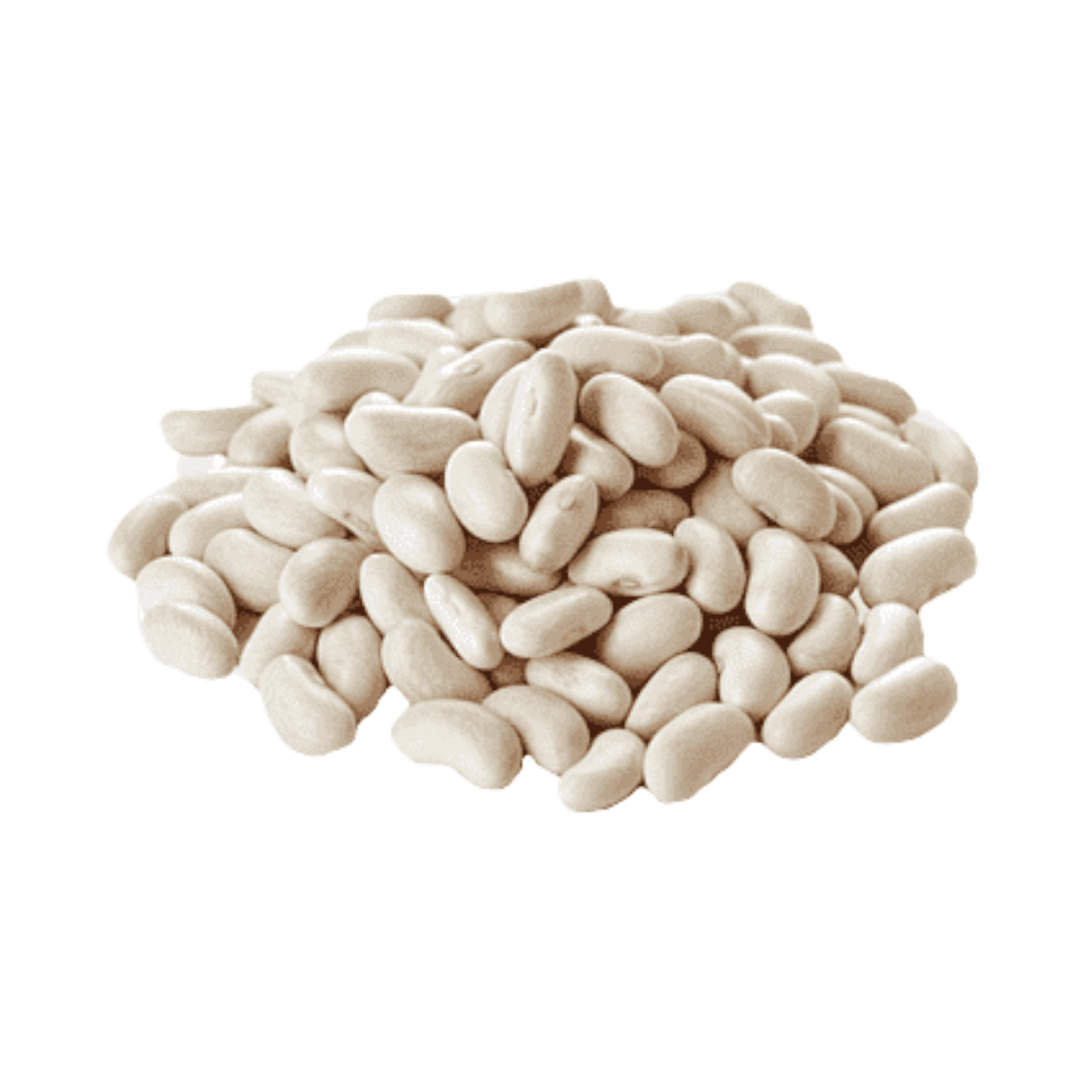 Navy Beans Dry