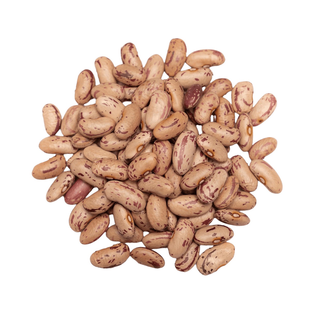 Pinto Beans Dry