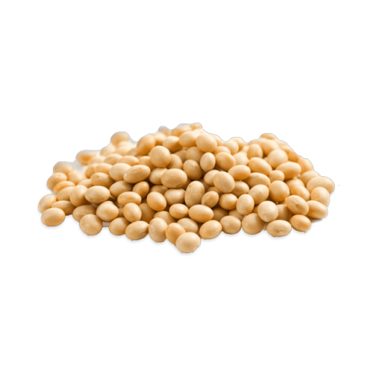 Soy Beans Dry