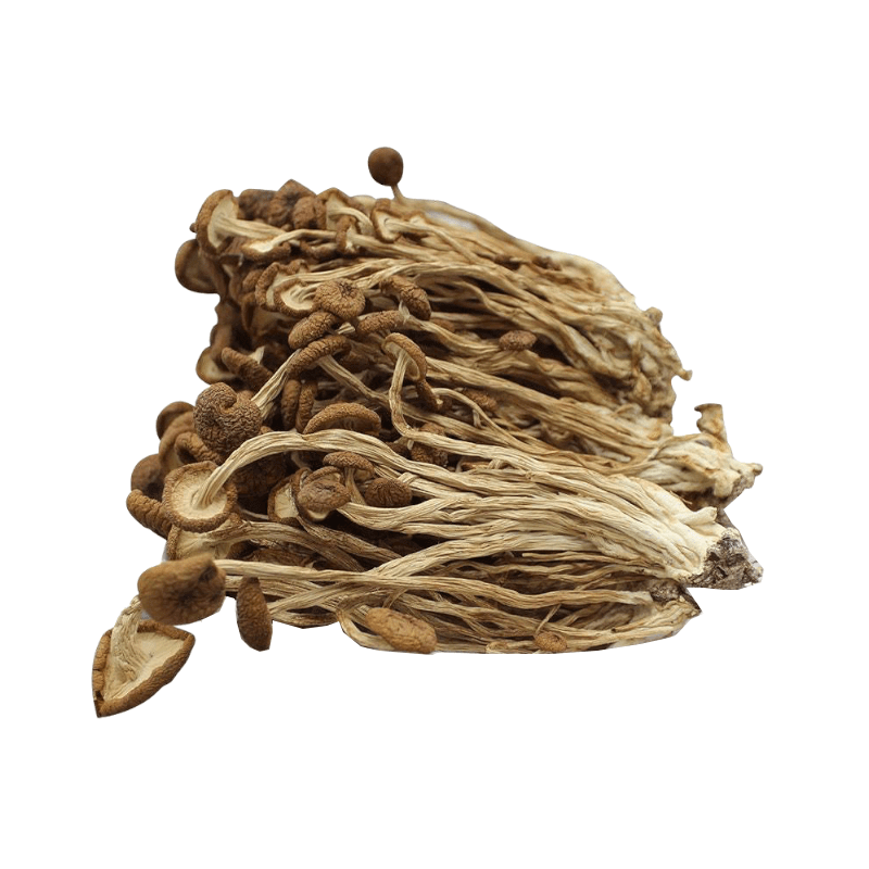 Dried mushroom (chashugu) (Agrocybe Aegerita)