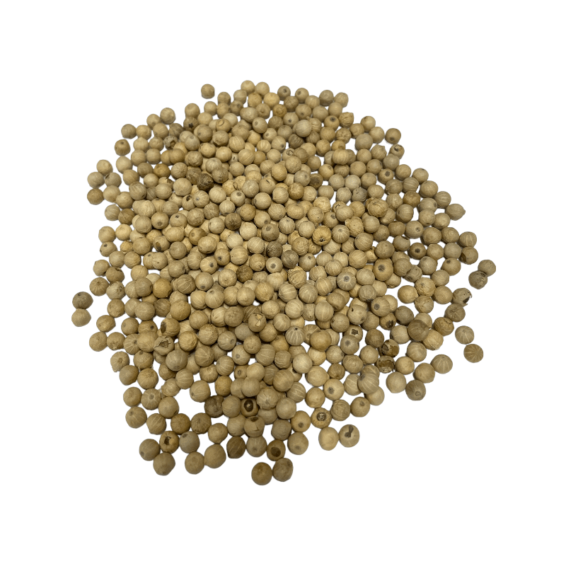 White Peppercorn Muntok X-Fancy (Bold) (Piper Nigrum)