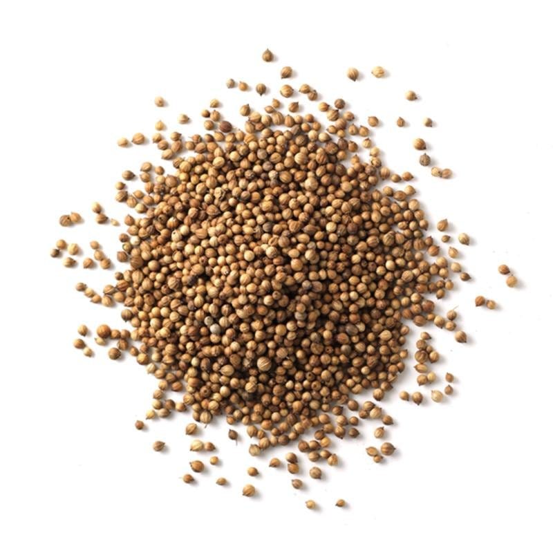 Coriander Seeds Moroccan - hot sauce market & more