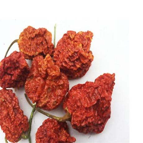 Trinidad Scorpion Butch T Pods - hot sauce market & more